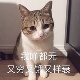 哈哈哈