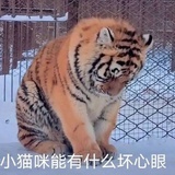 换个吉利的名字