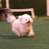 Edgar
