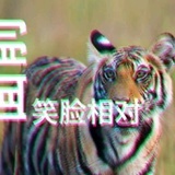横行霸道的帝王
