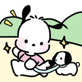 流浪小狗