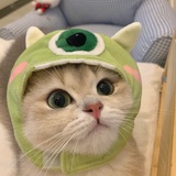 周淑怡