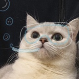 看到你啦