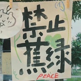 苏桐
