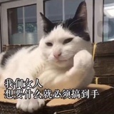 kiyomi
