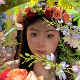 西柚
