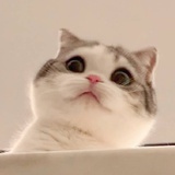 白日梦不醒