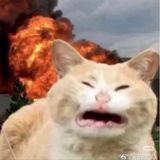 七7