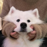了了