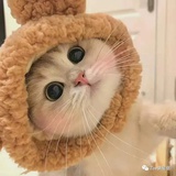 荼荻