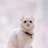 jskzuwbkwq