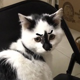 小乖也是小怪