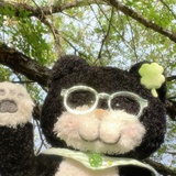 不知道什么来着