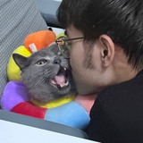 狗狗蹲下