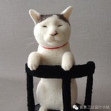 肥胖悠闲的黑头