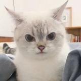 梆梆