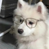 雪中狂徒