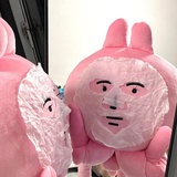 珍妮玛士多