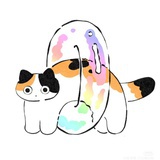 三花猫条