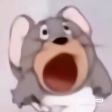 嬴晏