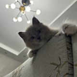 涂涂