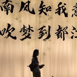 森林