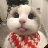 mei