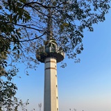 要去大溪地