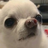 战胜拖延症
