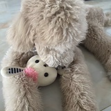 统一小沉淀