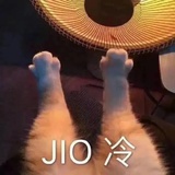 磕什么磕