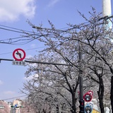 银河秋千