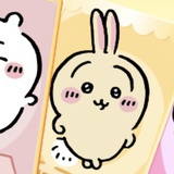 旺财小宝贝