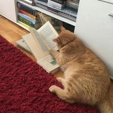 你老公真的吃藕