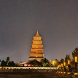 办沪签误食蜜雪