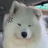 冬咚动冻