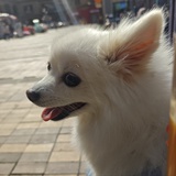 老了去海边定居