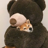 前往快乐星球