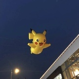 吴贞慧