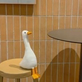 容音