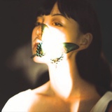 觅青森