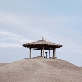 松蜉蝣