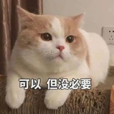 或许应该改个名