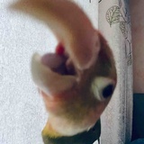 江大桥