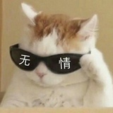小黄油美式