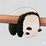 被窝探险家