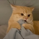 月亮拥抱我