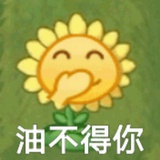 橘子花