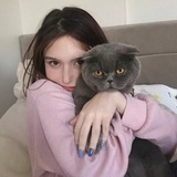 保温杯里放枸杞