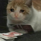 薯饼威猛草